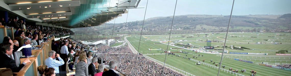 cheltenham-course-panorama