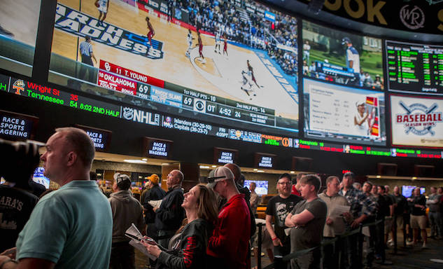 sports bettors gambling on basketball